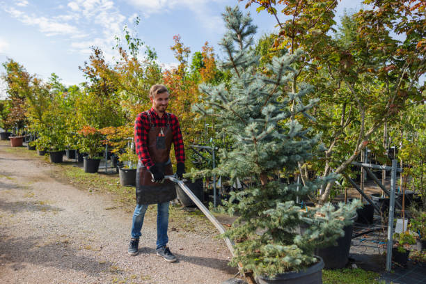 Best Weed Control  in East Stroudsburg, PA